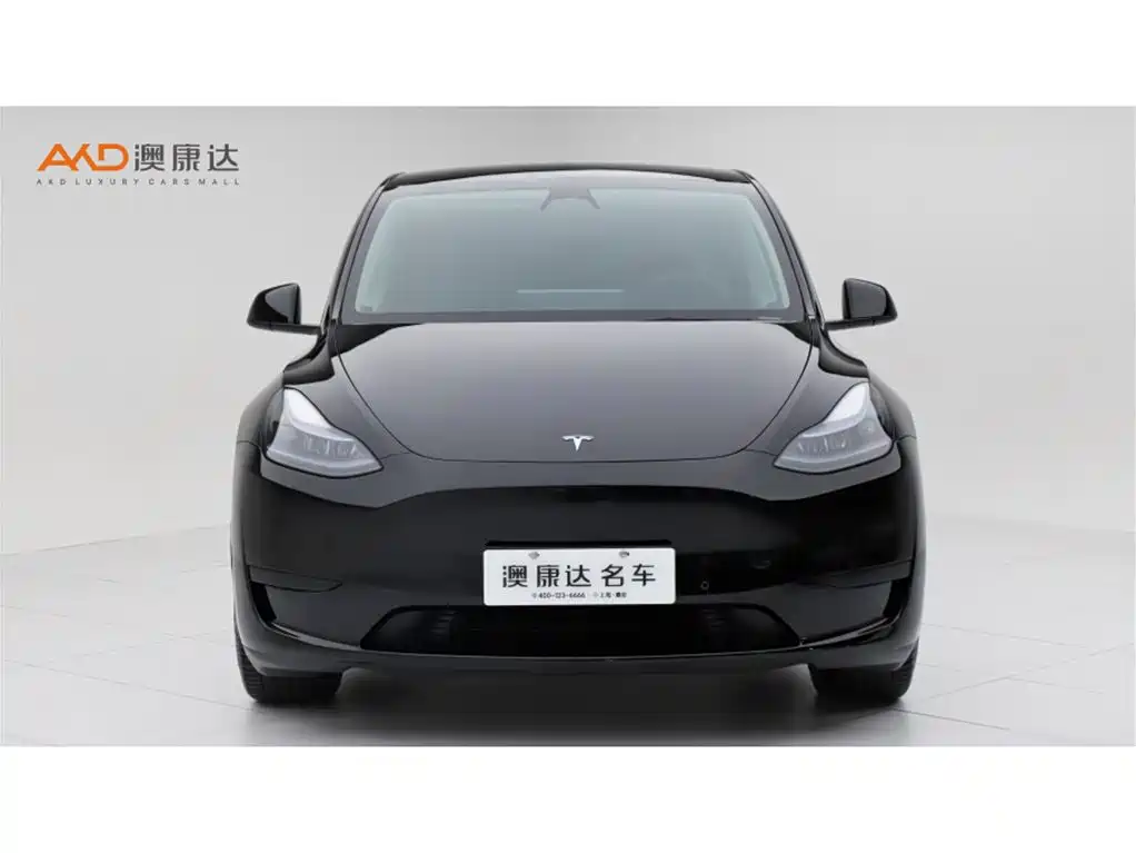 Tesla Model Y — миниатюра 2