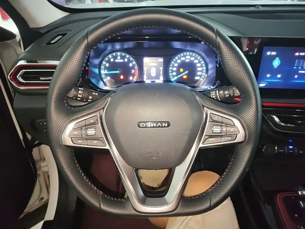 Oshan Oushang X5 — миниатюра 11
