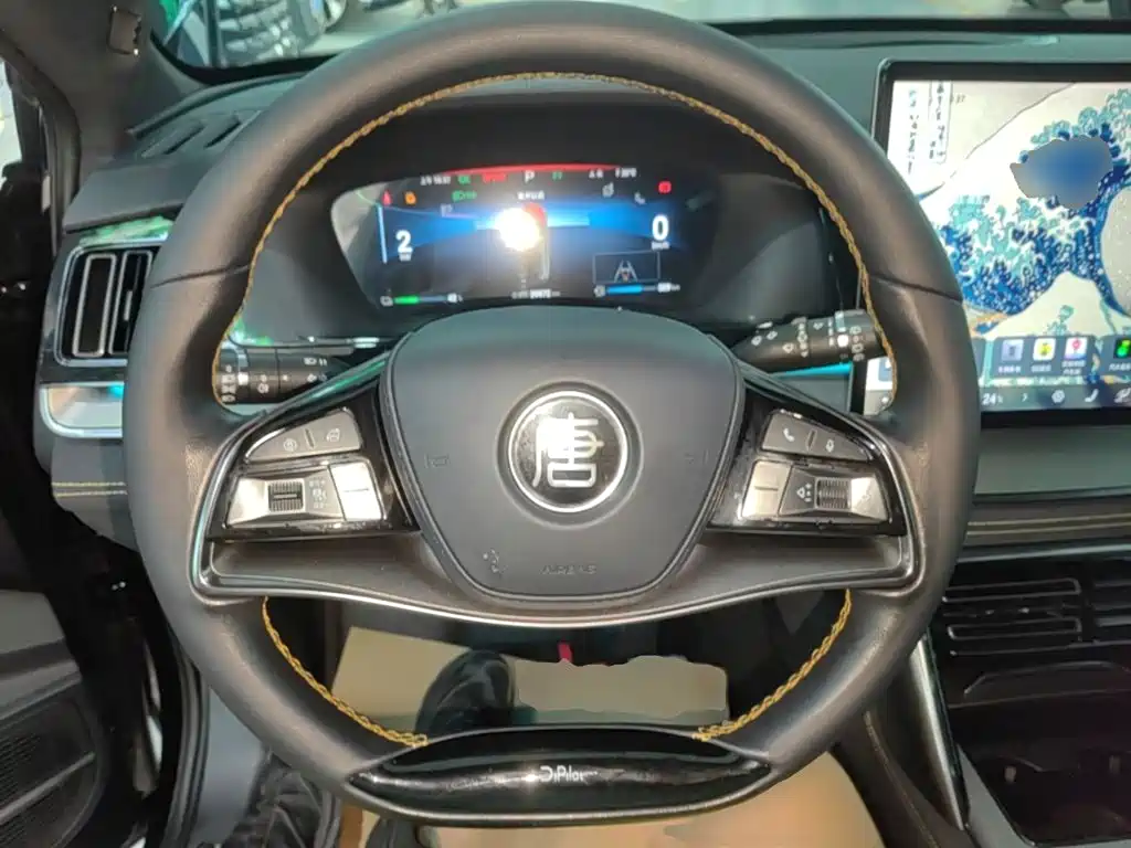 BYD Tang New Energy — миниатюра 11
