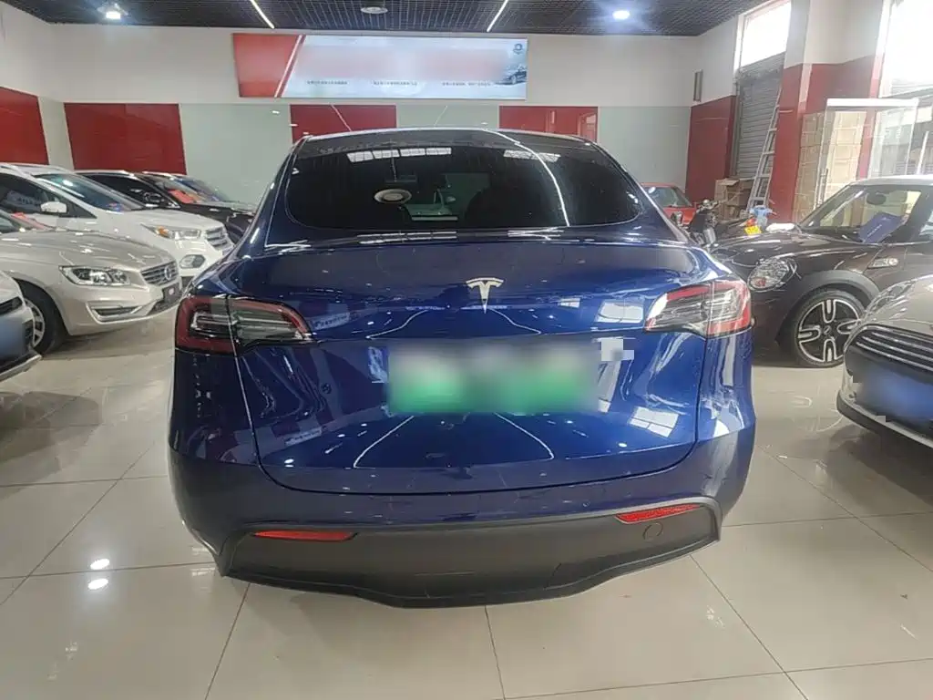 Tesla Model Y — миниатюра 6