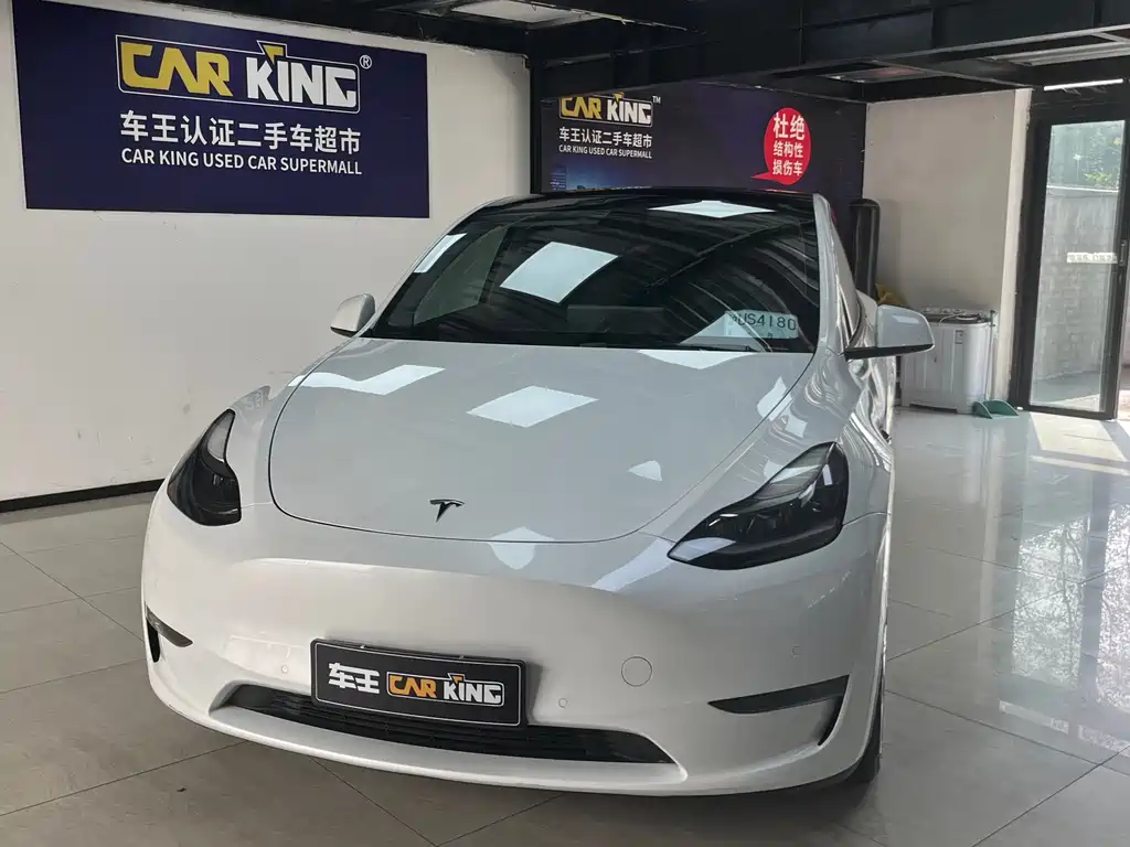 Tesla Model Y — миниатюра 2