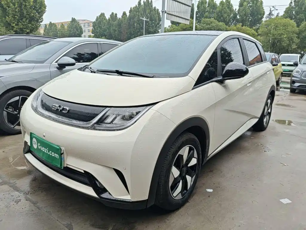 BYD Dolphin — миниатюра 2