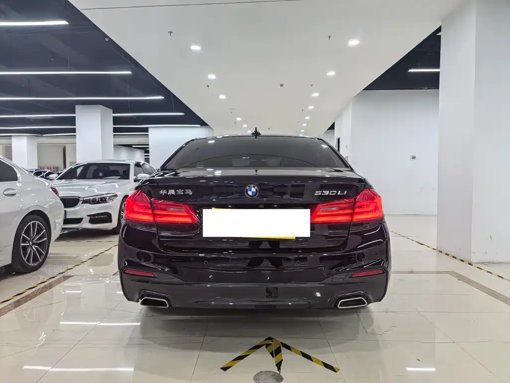 BMW 5 Series — миниатюра 5