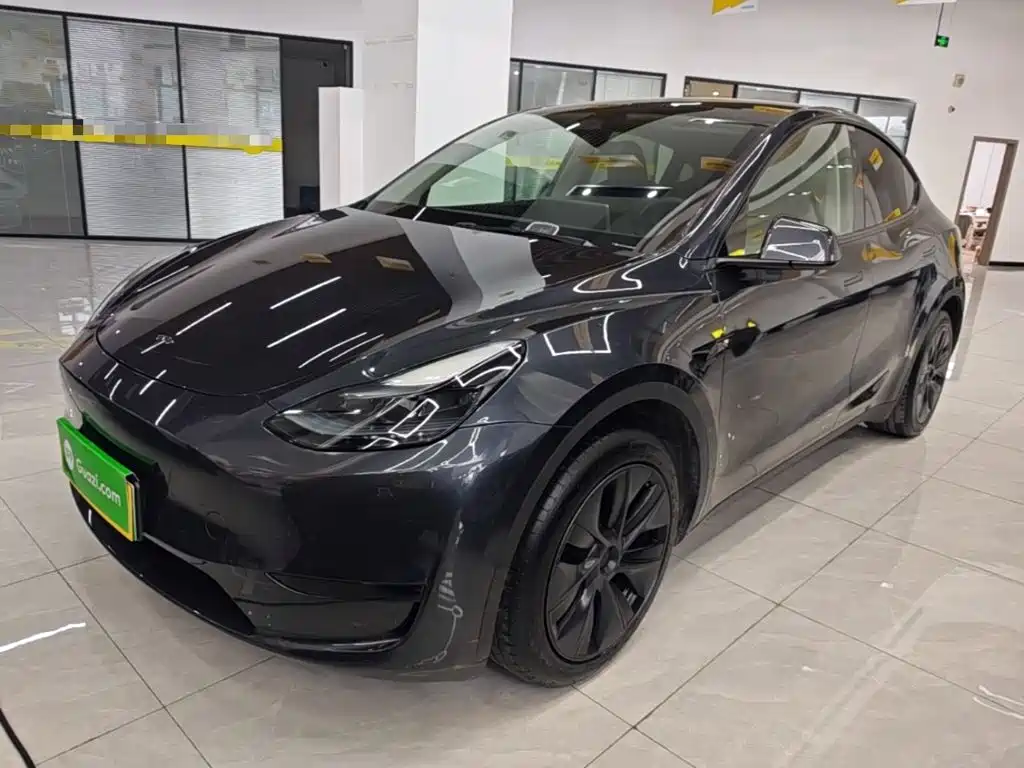Tesla Model Y — миниатюра 2