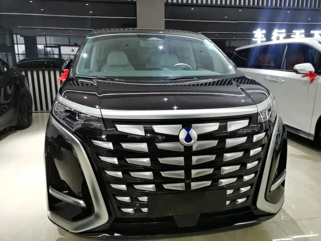 Denza Denza D9 — миниатюра 3