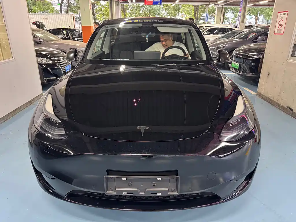 Tesla Model Y — миниатюра 2