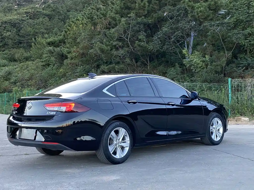 Buick Regal — миниатюра 20