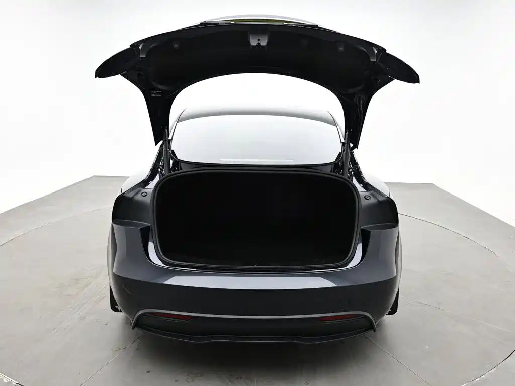Tesla Model 3 — миниатюра 6