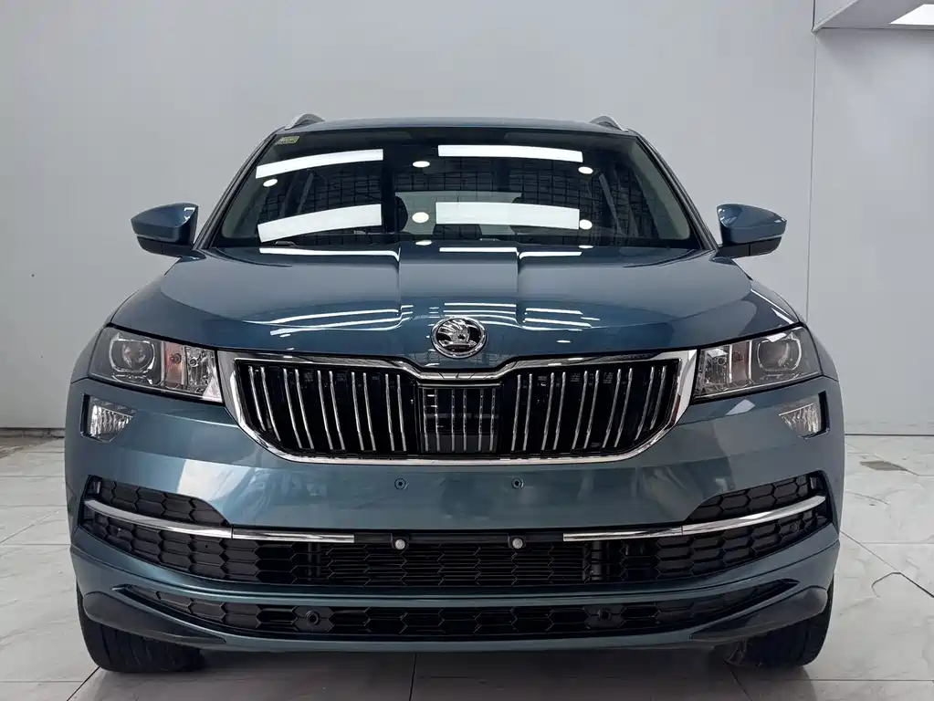 Skoda Karoq — миниатюра 2