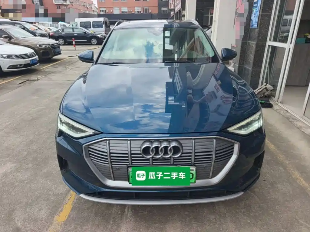 Audi e-tron (Import) — миниатюра 3