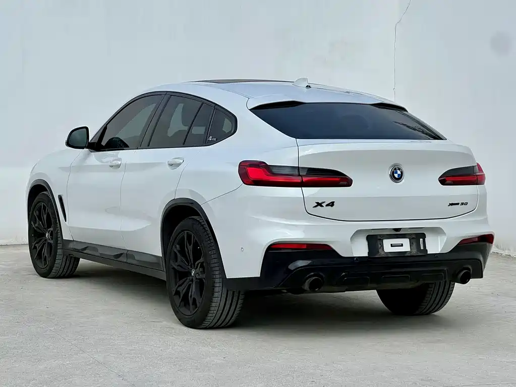 BMW X4 — миниатюра 4