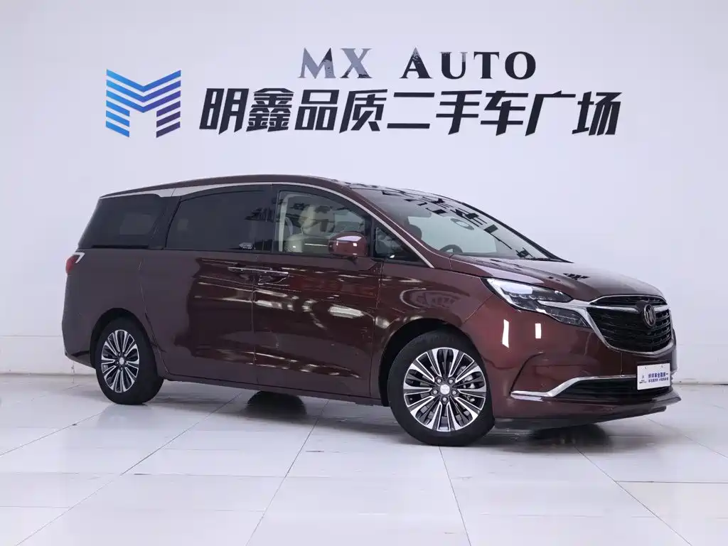 Buick GL8 — миниатюра 5