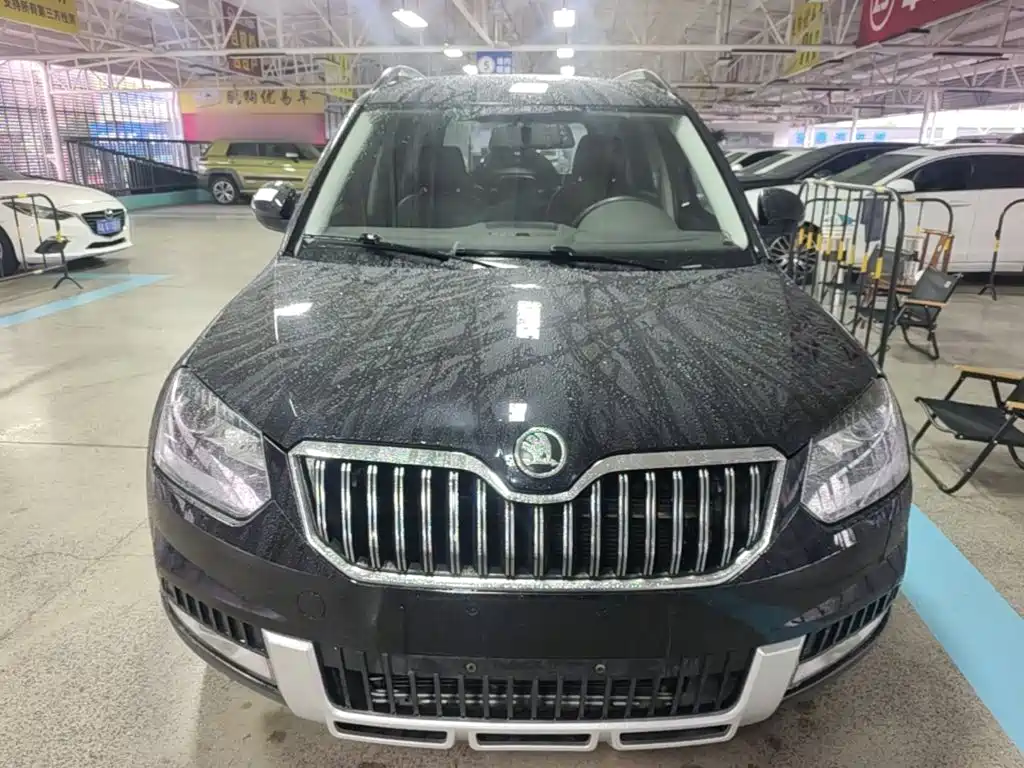 Skoda Yeti — миниатюра 3