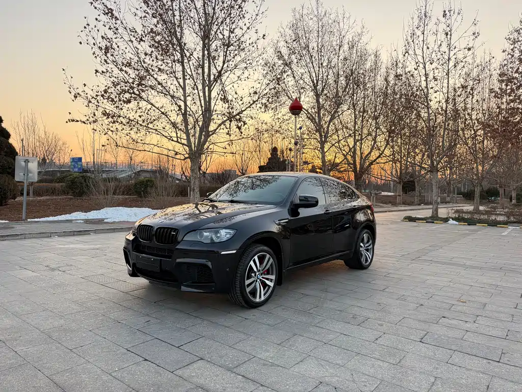 BMW X6 M 2013