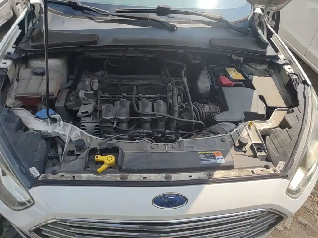 Ford Escort — миниатюра 25