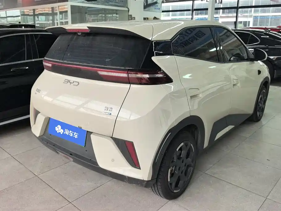 BYD Seagull 2025 Smart Drive 305km Freedom