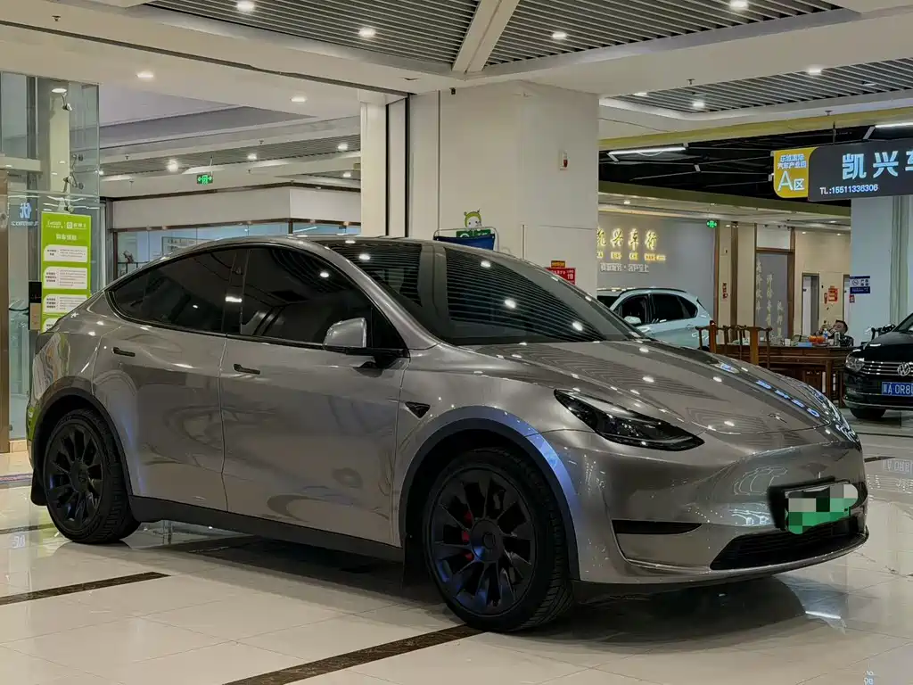 Tesla Model Y — миниатюра 3
