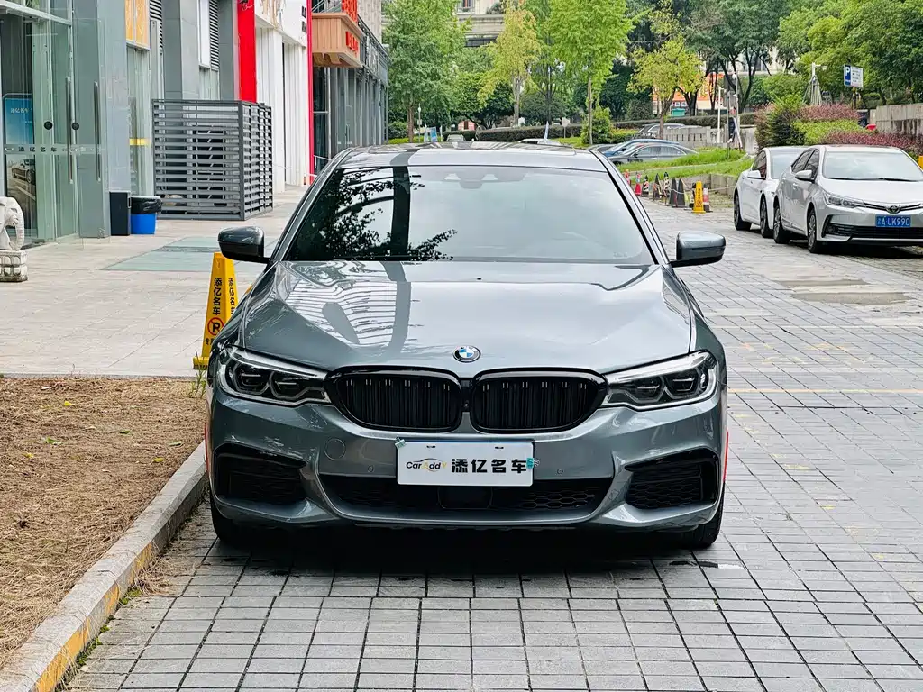 BMW 5 Series (Import) — миниатюра 2