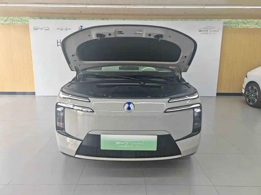 Denza Denza N8L — миниатюра 2