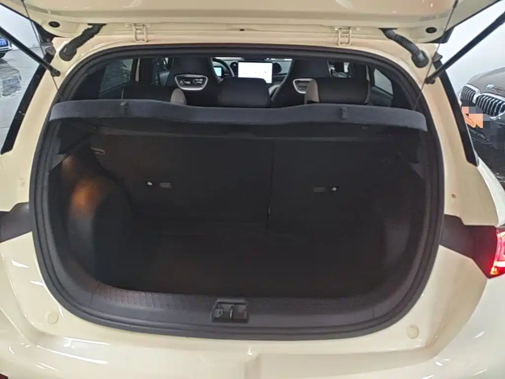 BYD Dolphin — миниатюра 19