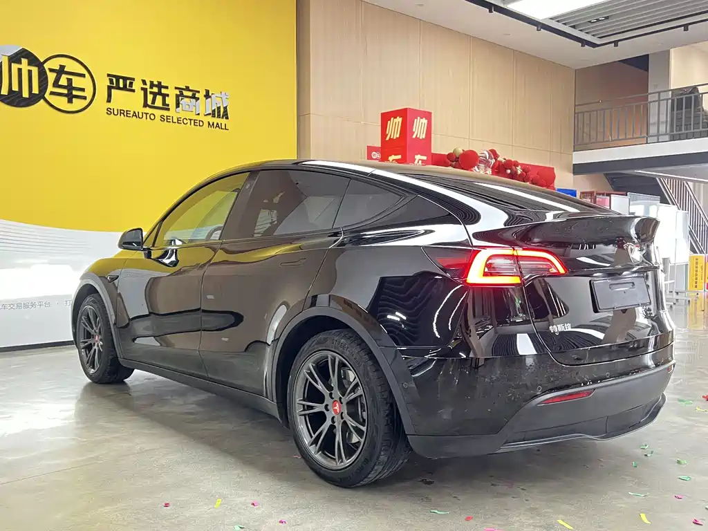 Tesla Model Y — миниатюра 6