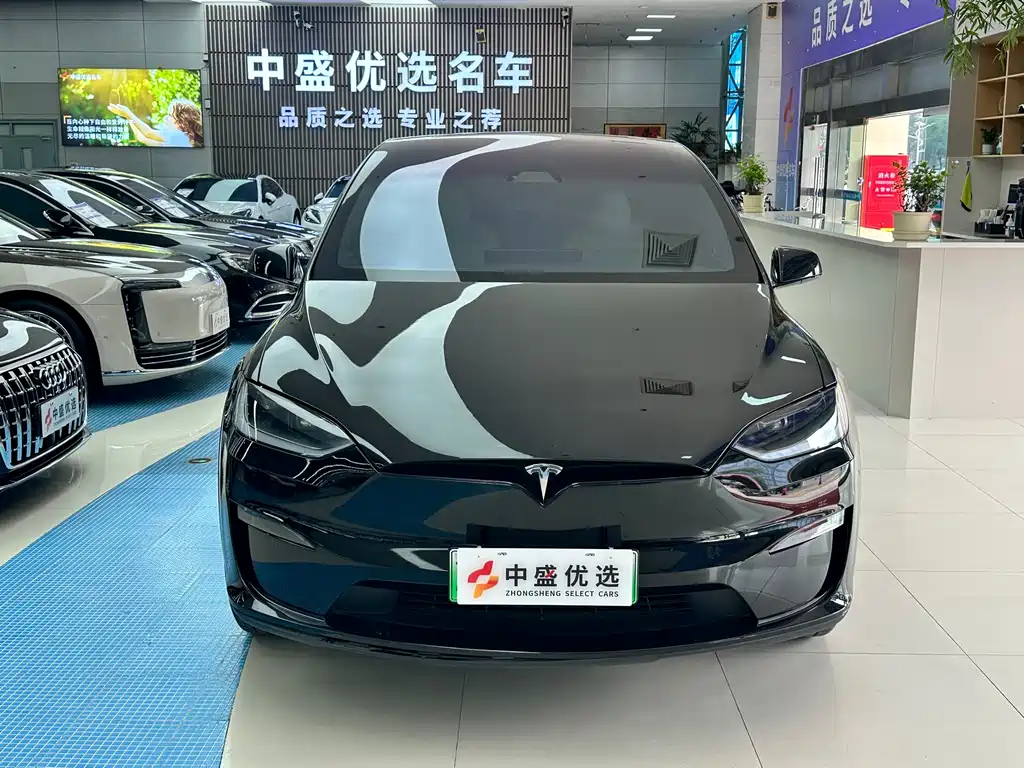 Tesla Model X — миниатюра 2