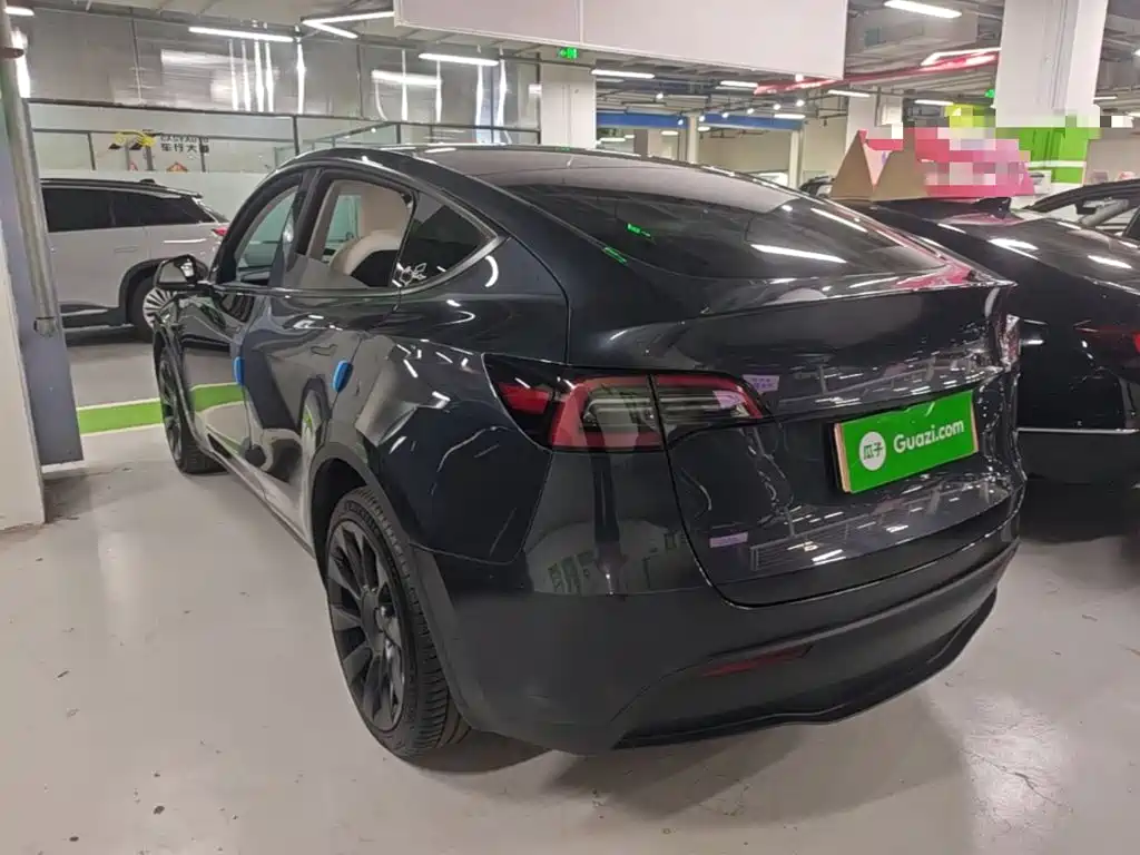 Tesla Model Y — миниатюра 5