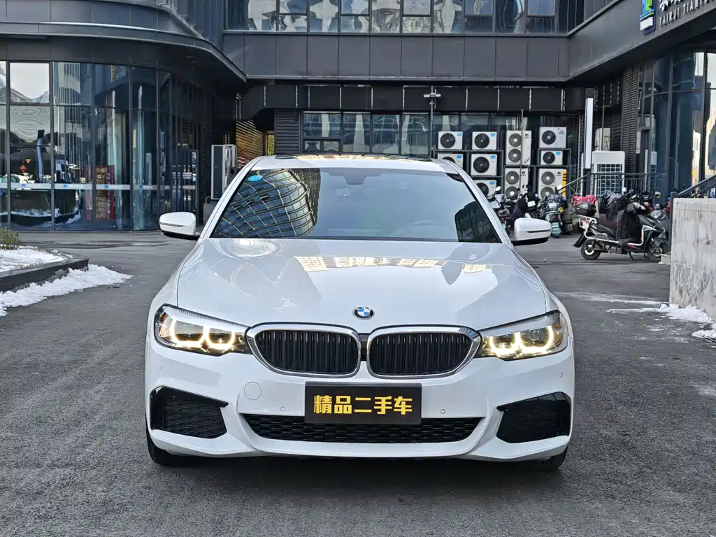 BMW 5 SERIES