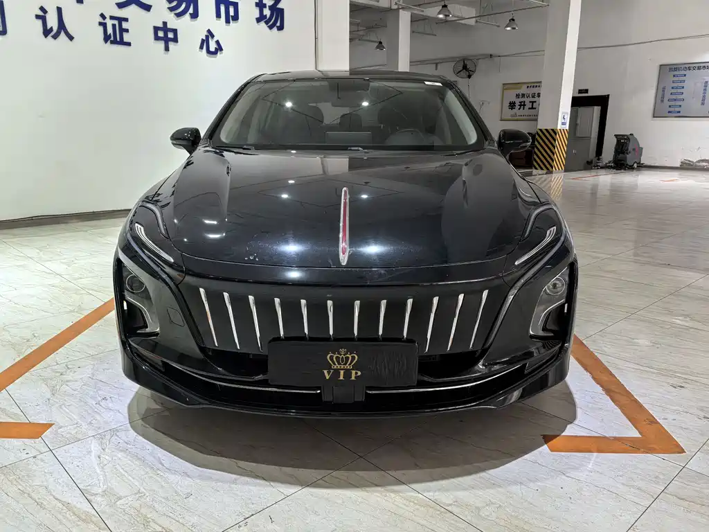 Hongqi HONGQI E QM5