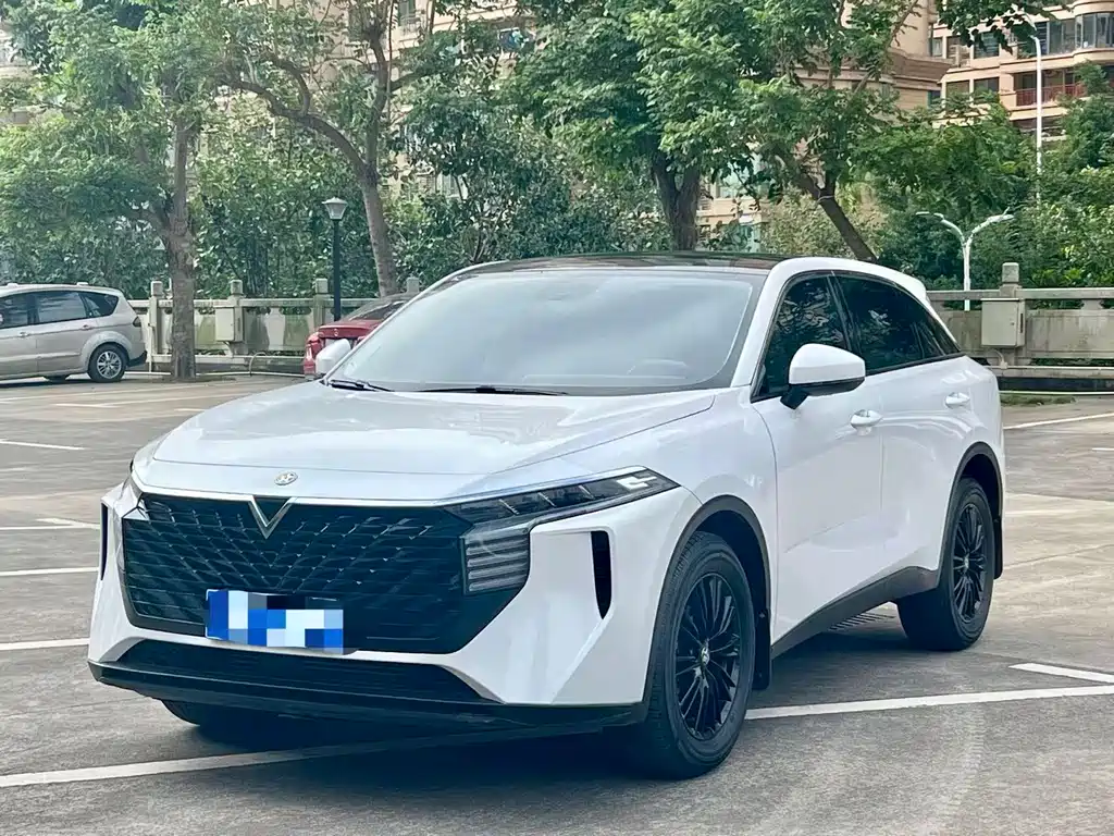Venucia V 2022