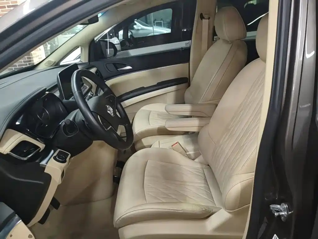 Buick GL8 — миниатюра 15
