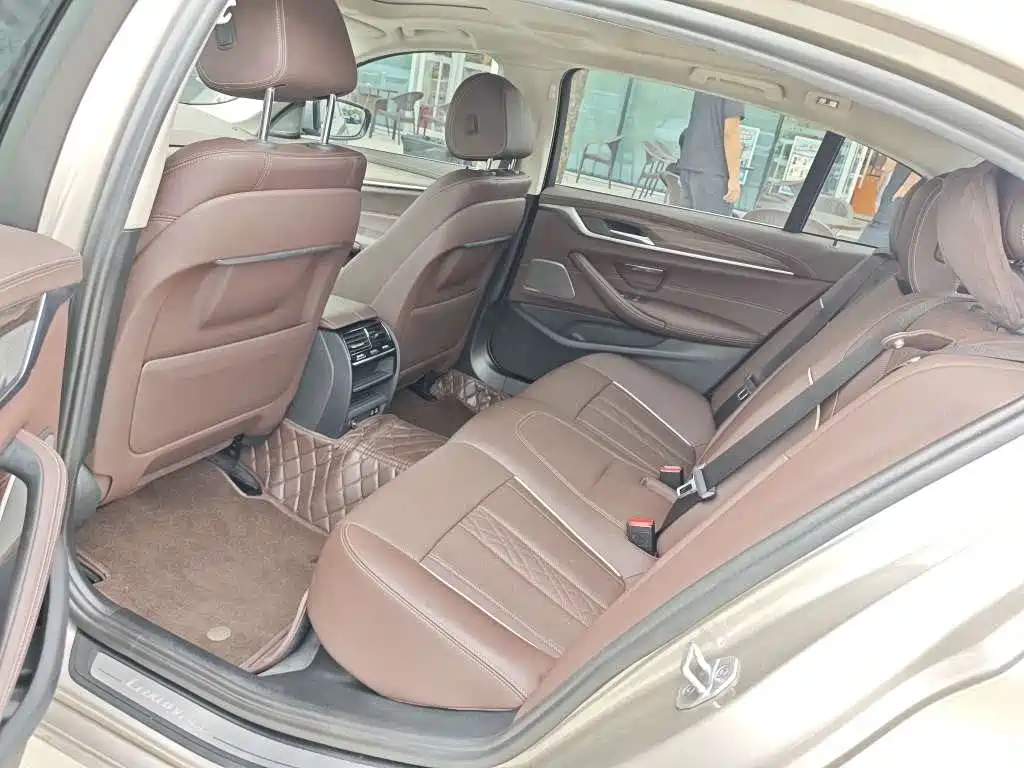 BMW 5 Series 5 2022 530Li Lead Luxury