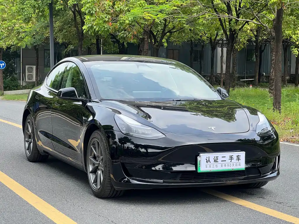 Tesla Model 3 — миниатюра 3