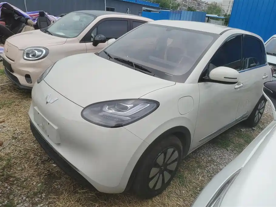 Wuling Binguo 2024 333km Delight