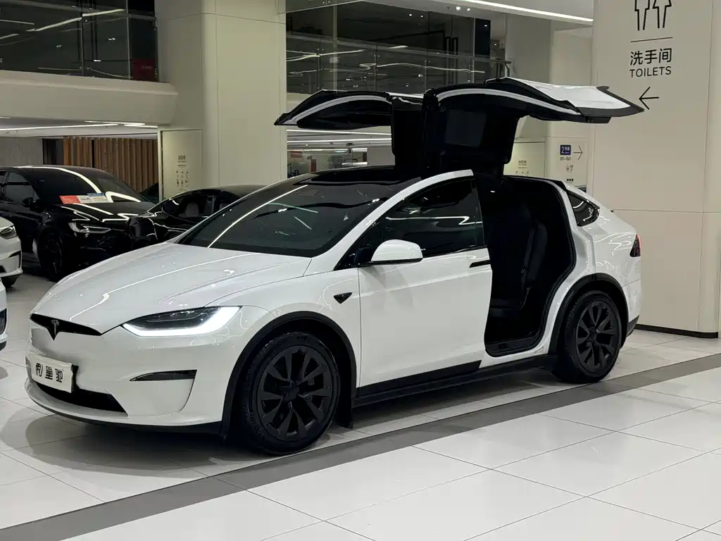 Tesla Model X — миниатюра 2