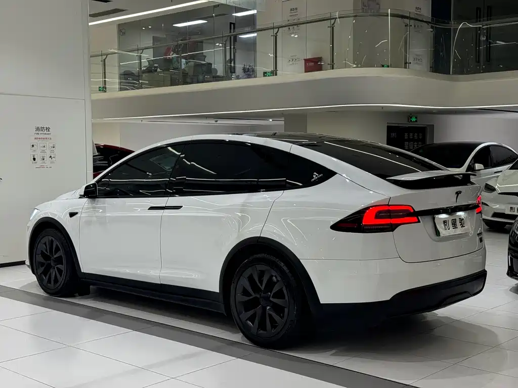 Tesla Model X — миниатюра 20