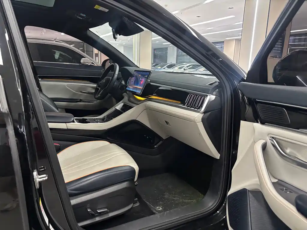 BYD PLUS New Energy — миниатюра 14