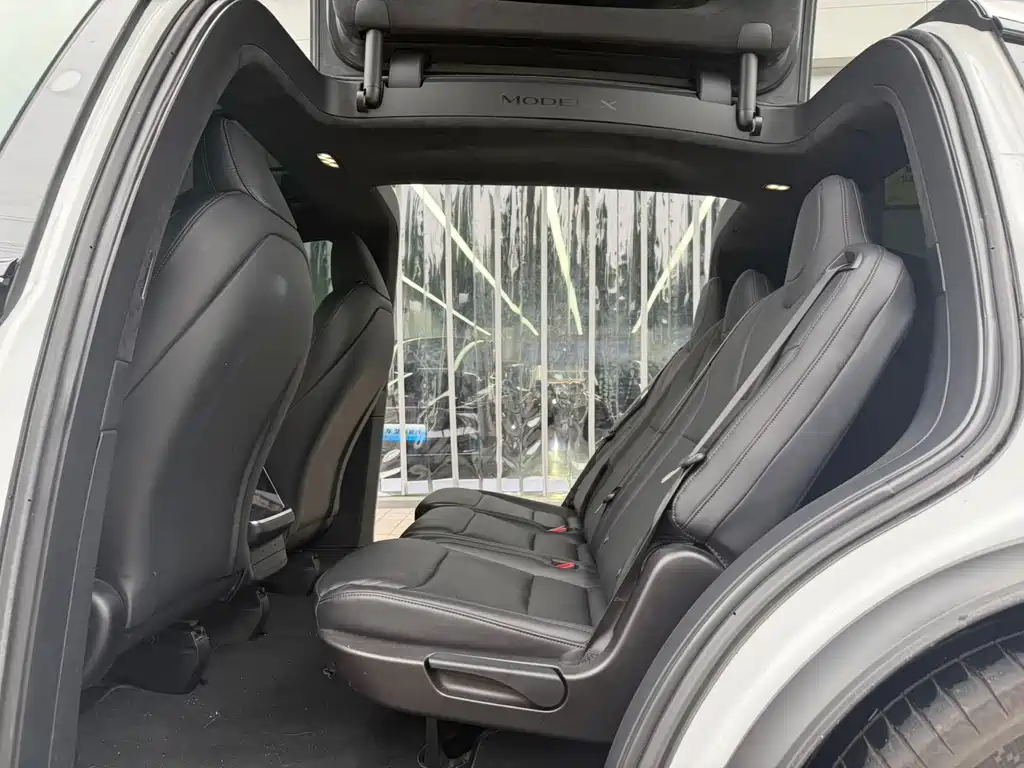 Tesla Model X — миниатюра 8