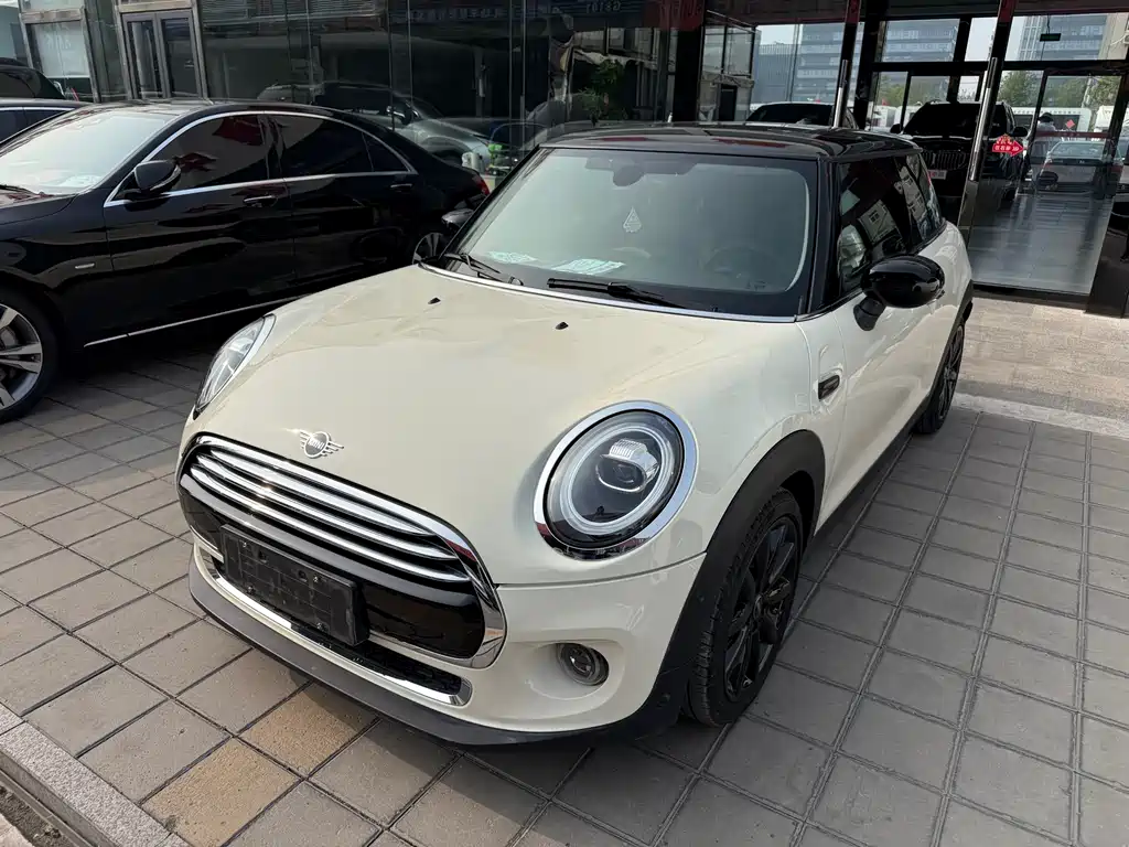 Mini Mini 2020