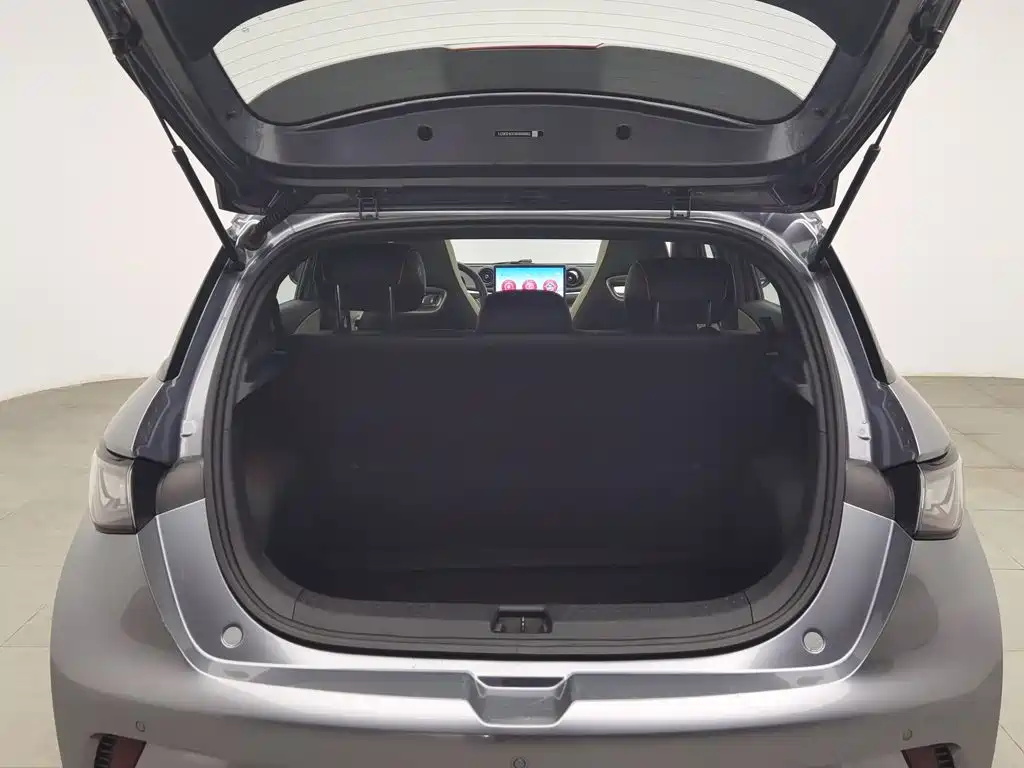 BYD Dolphin — миниатюра 16