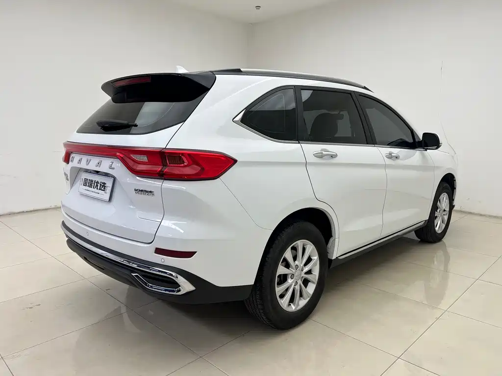 HAVAL M6