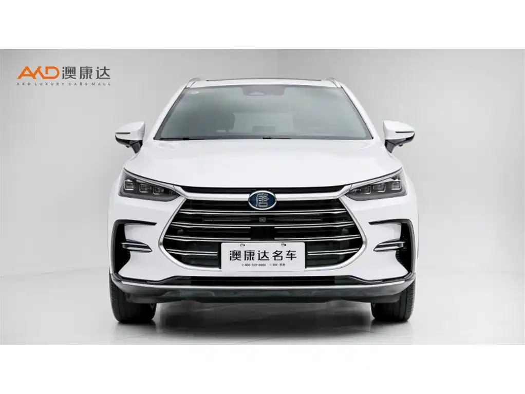 BYD Tang New Energy — миниатюра 2