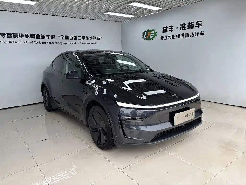 Tesla Model Y — миниатюра 3