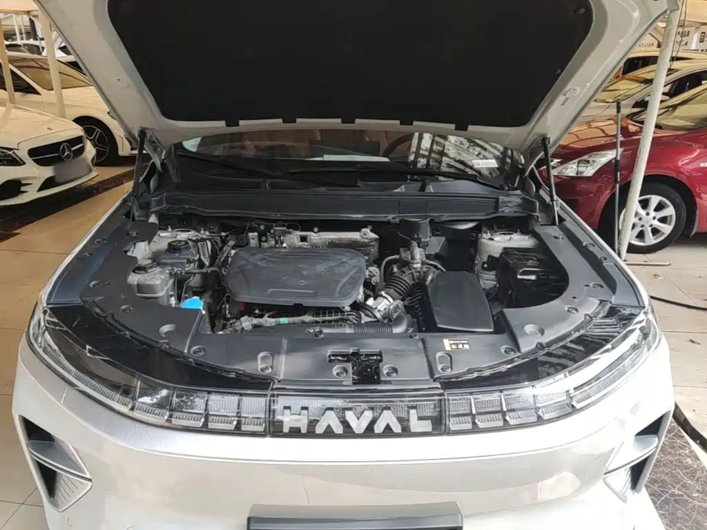 Haval Xiaolong MAX — миниатюра 20