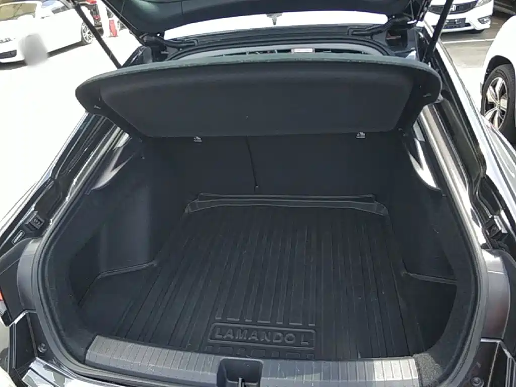 Volkswagen Lamando — миниатюра 19