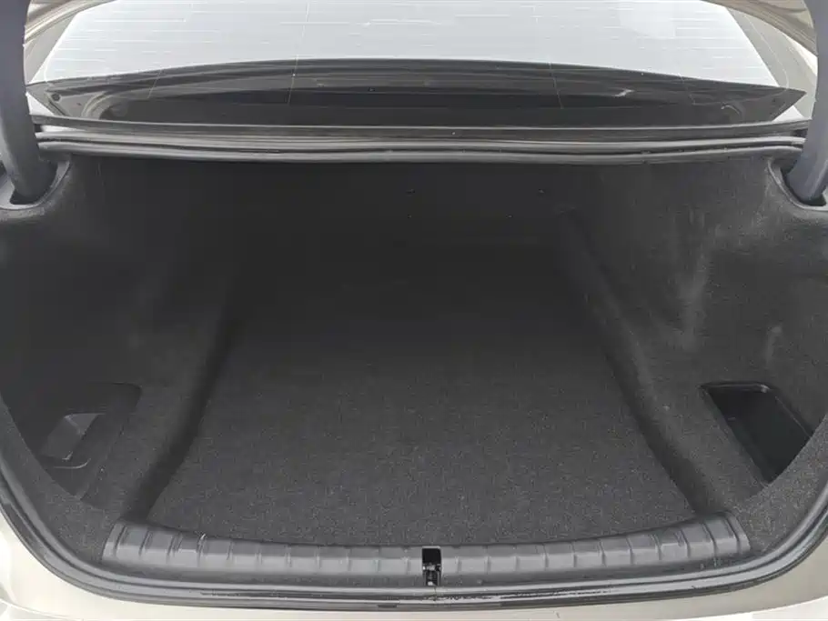BMW 5 Series 5 2021 525Li M Sport