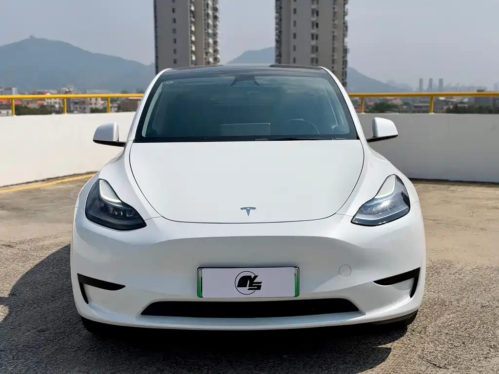 Tesla Model Y — миниатюра 2
