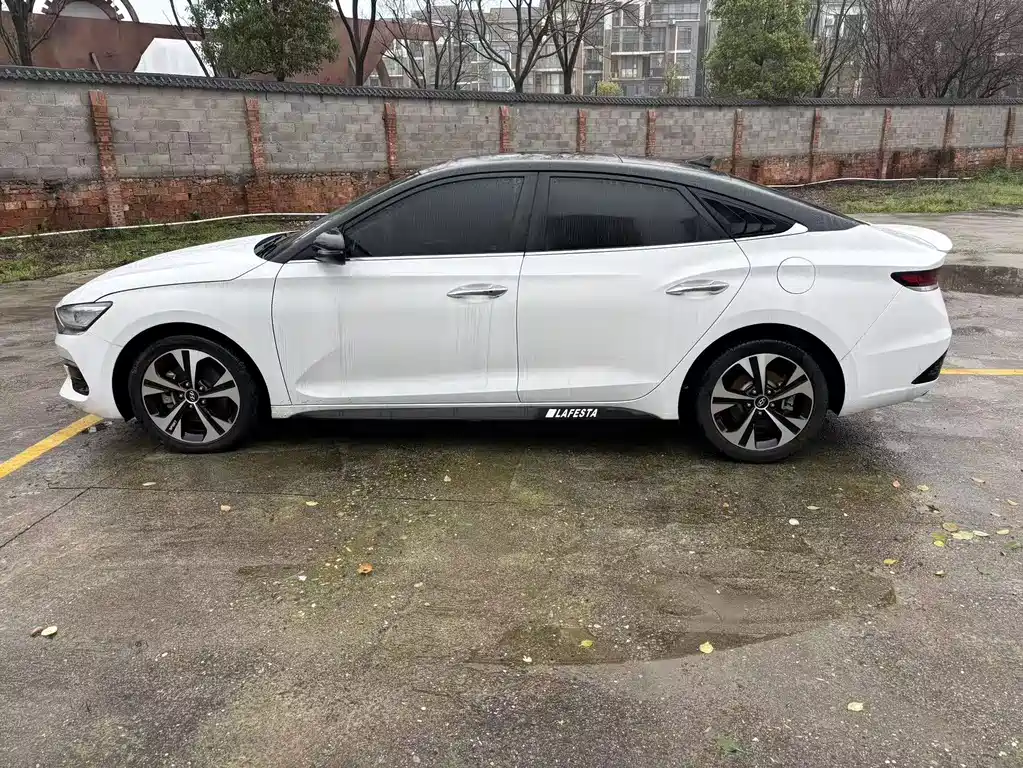 Hyundai Fista — миниатюра 4