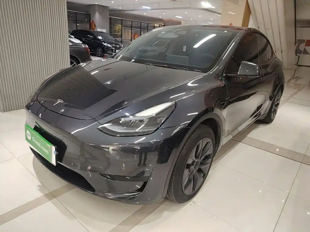 Tesla Model Y — миниатюра 2