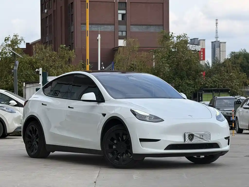Tesla Model Y — миниатюра 3